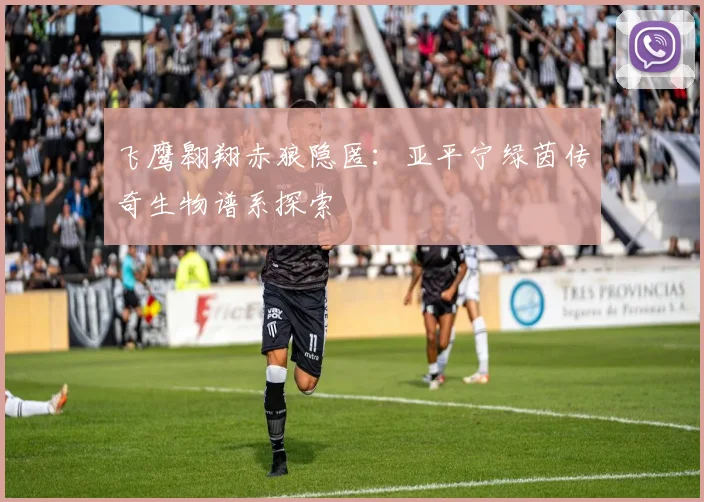 飞鹰翱翔赤狼隐匿：亚平宁绿茵传奇生物谱系探索