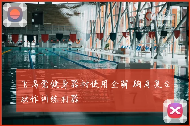 飞鸟凳健身器材使用全解 胸肩复合动作训练利器