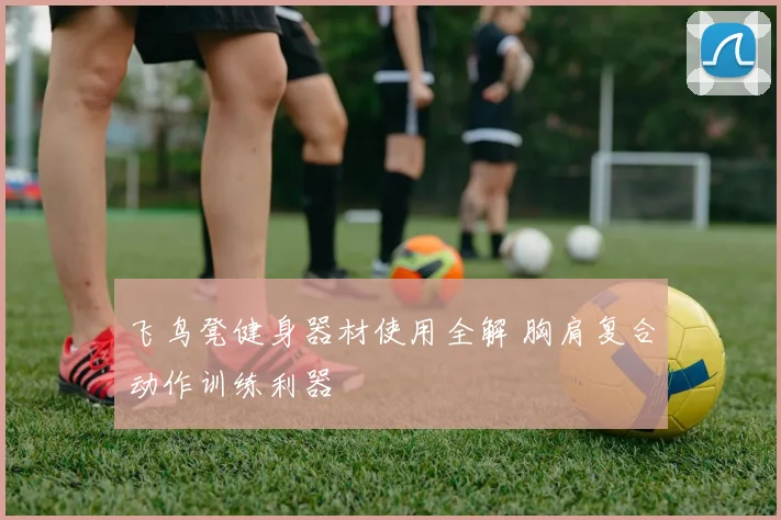 飞鸟凳健身器材使用全解 胸肩复合动作训练利器