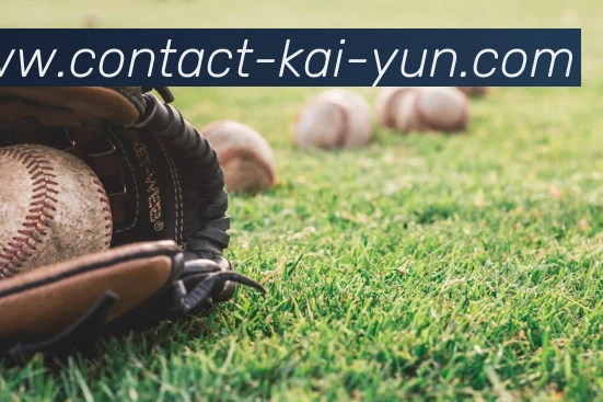 开云平台生态图